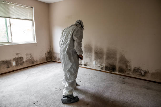 Best Commercial Mold Inspection  in Rancho Viejo, TX